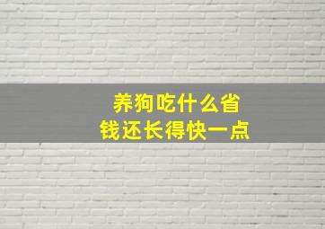 养狗吃什么省钱还长得快一点