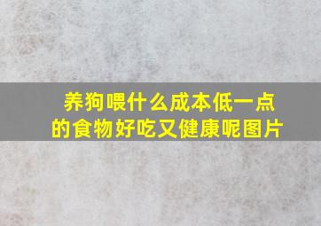 养狗喂什么成本低一点的食物好吃又健康呢图片