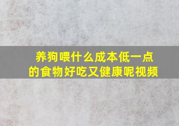 养狗喂什么成本低一点的食物好吃又健康呢视频