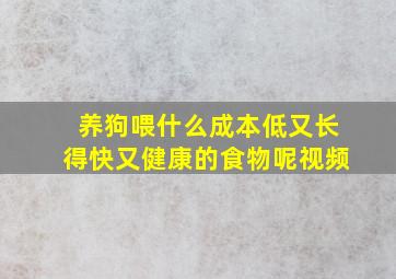 养狗喂什么成本低又长得快又健康的食物呢视频