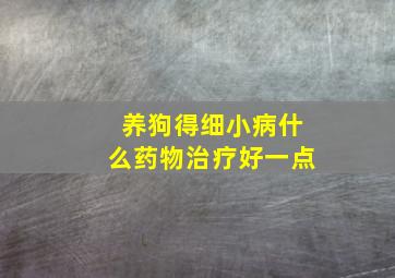 养狗得细小病什么药物治疗好一点