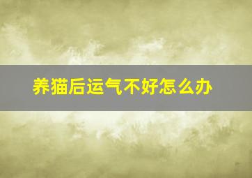 养猫后运气不好怎么办