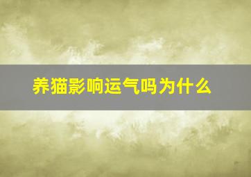 养猫影响运气吗为什么