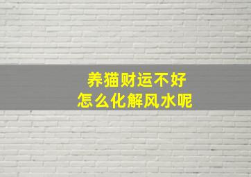 养猫财运不好怎么化解风水呢