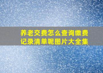 养老交费怎么查询缴费记录清单呢图片大全集