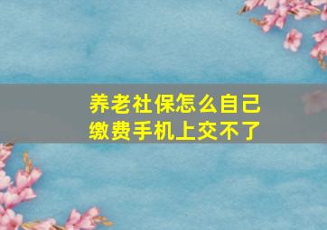 养老社保怎么自己缴费手机上交不了