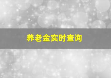 养老金实时查询