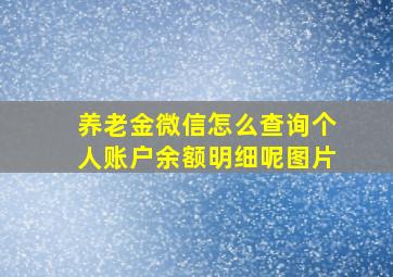 养老金微信怎么查询个人账户余额明细呢图片