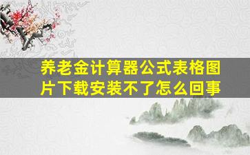 养老金计算器公式表格图片下载安装不了怎么回事