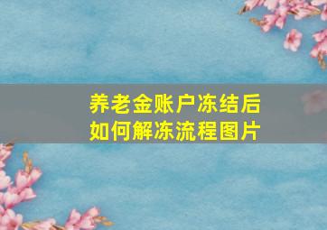 养老金账户冻结后如何解冻流程图片