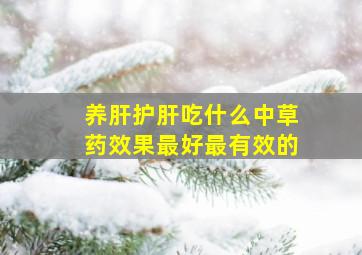 养肝护肝吃什么中草药效果最好最有效的