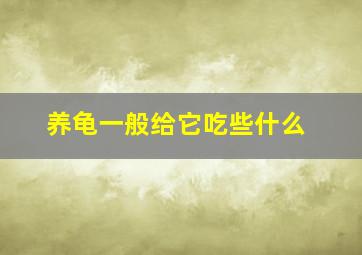 养龟一般给它吃些什么