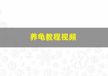 养龟教程视频