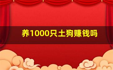 养1000只土狗赚钱吗