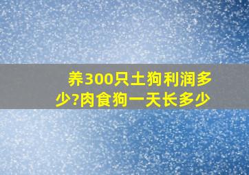 养300只土狗利润多少?肉食狗一天长多少