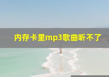 内存卡里mp3歌曲听不了