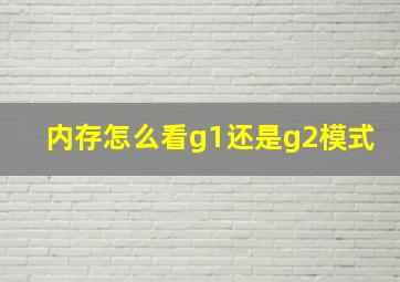 内存怎么看g1还是g2模式