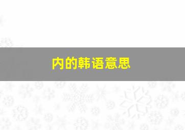 内的韩语意思