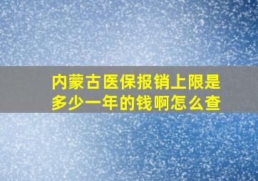 内蒙古医保报销上限是多少一年的钱啊怎么查