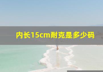 内长15cm耐克是多少码