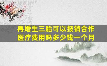 再婚生三胎可以报销合作医疗费用吗多少钱一个月