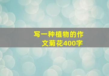 写一种植物的作文菊花400字