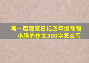 写一篇观察日记四年级动物小猫的作文300字怎么写