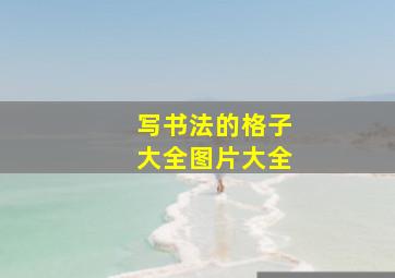 写书法的格子大全图片大全