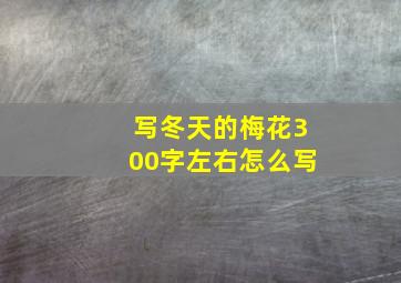 写冬天的梅花300字左右怎么写