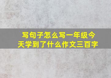 写句子怎么写一年级今天学到了什么作文三百字