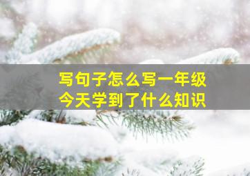 写句子怎么写一年级今天学到了什么知识