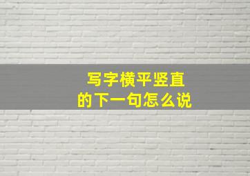 写字横平竖直的下一句怎么说