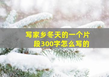 写家乡冬天的一个片段300字怎么写的