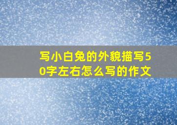 写小白兔的外貌描写50字左右怎么写的作文