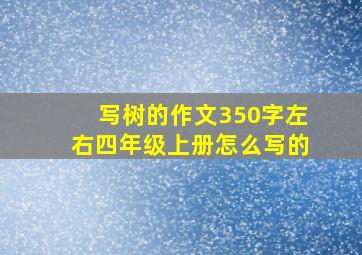 写树的作文350字左右四年级上册怎么写的