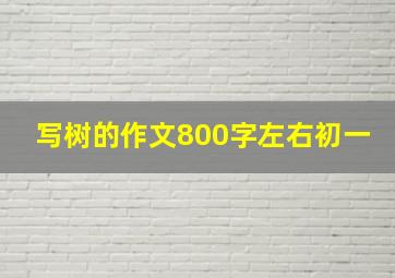 写树的作文800字左右初一