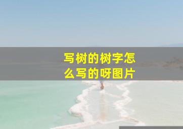 写树的树字怎么写的呀图片