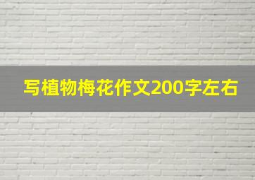 写植物梅花作文200字左右