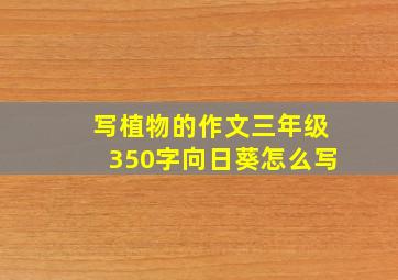 写植物的作文三年级350字向日葵怎么写