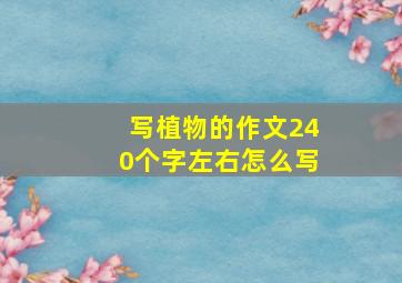 写植物的作文240个字左右怎么写