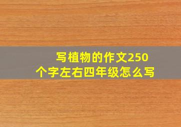 写植物的作文250个字左右四年级怎么写