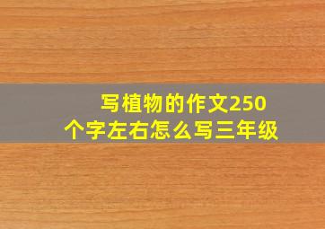 写植物的作文250个字左右怎么写三年级