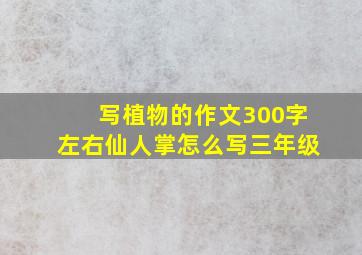 写植物的作文300字左右仙人掌怎么写三年级