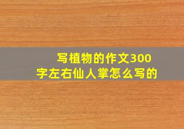 写植物的作文300字左右仙人掌怎么写的