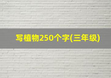 写植物250个字(三年级)