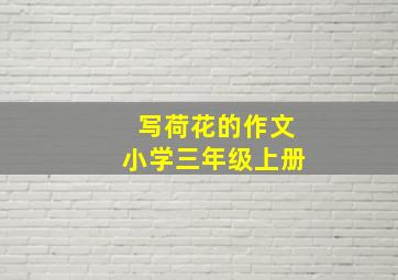 写荷花的作文小学三年级上册