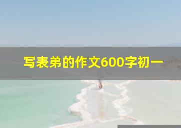 写表弟的作文600字初一