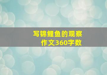 写锦鲤鱼的观察作文360字数