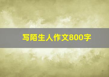 写陌生人作文800字