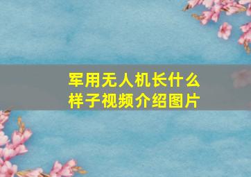 军用无人机长什么样子视频介绍图片